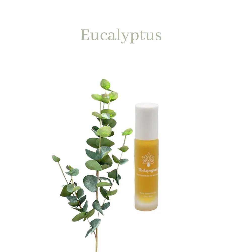 Eucalyptus
